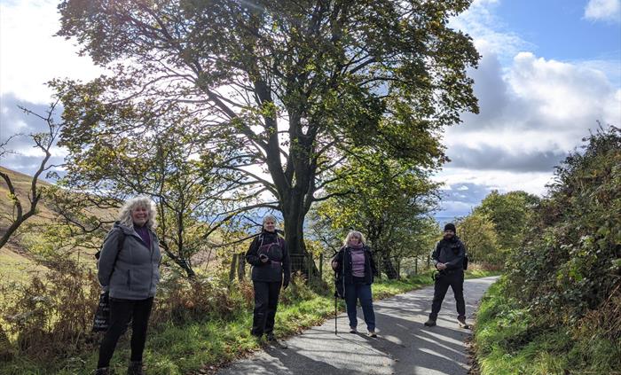 Learn mindfulness on a guided walk